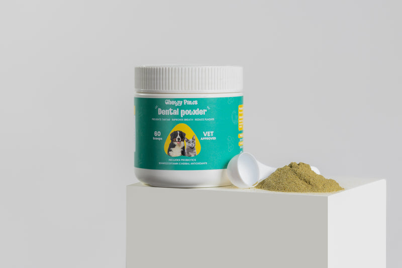 Chewy Paws Dental Powder jar with measuring scoop - dog dental supplement powder with probiotics, seaweed and herbal antioxidants