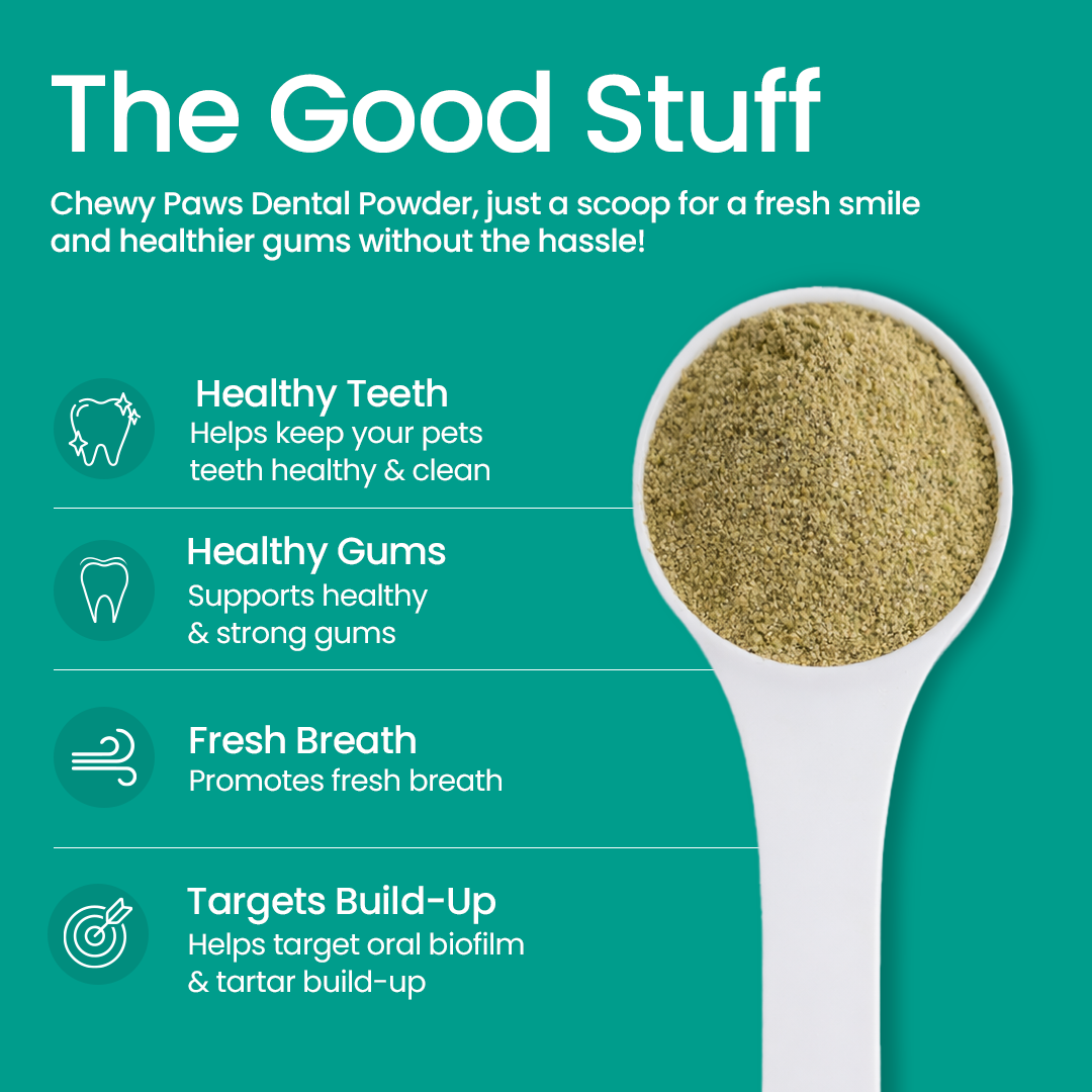 Chewy Paws Dental Powder benefits infographic - promotes healthy teeth, strong gums, fresh breath and targets tartar buildup in dogs