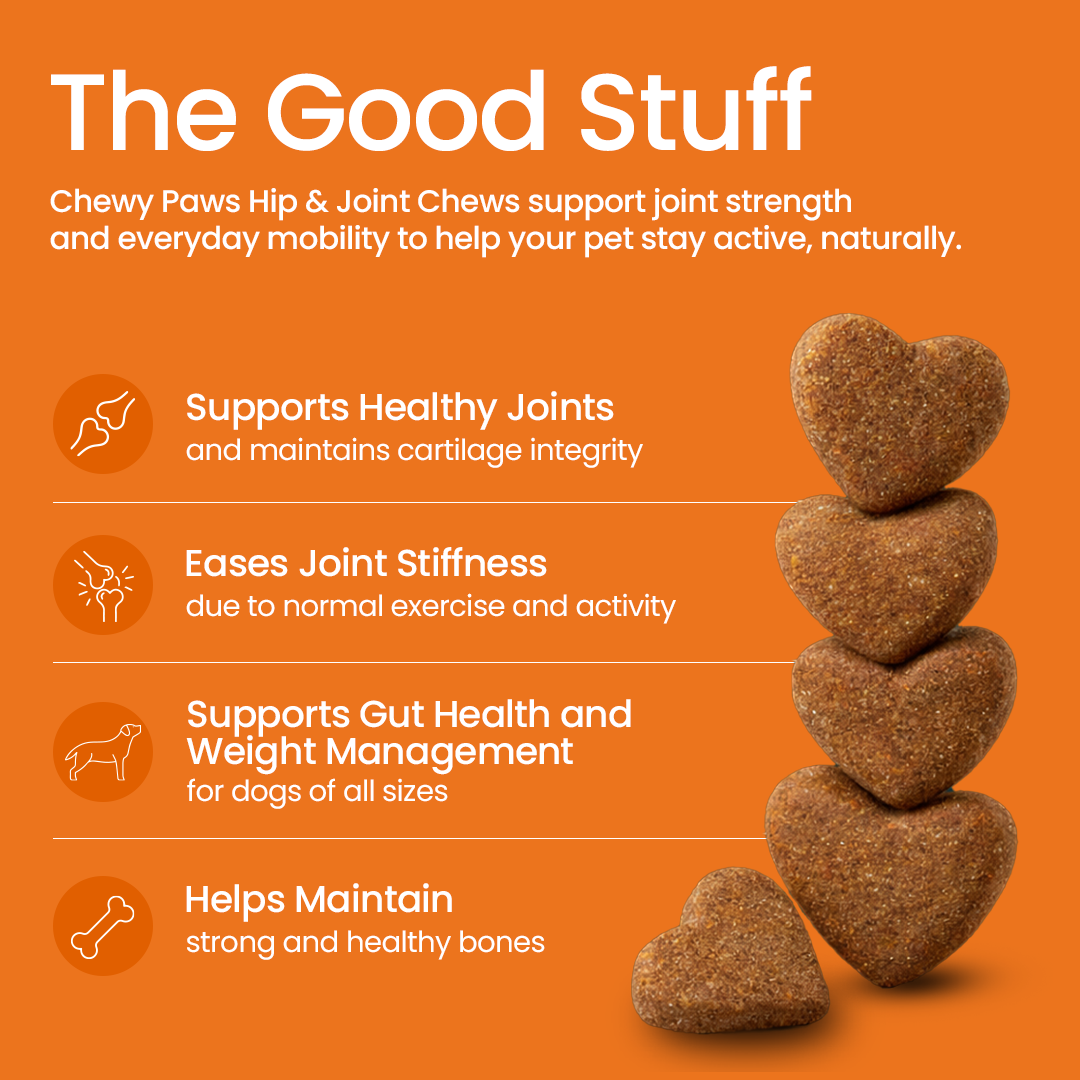 Chewy Paws Superbones benefits infographic - supports healthy joints, eases stiffness, promotes gut health and strong bones in dogs