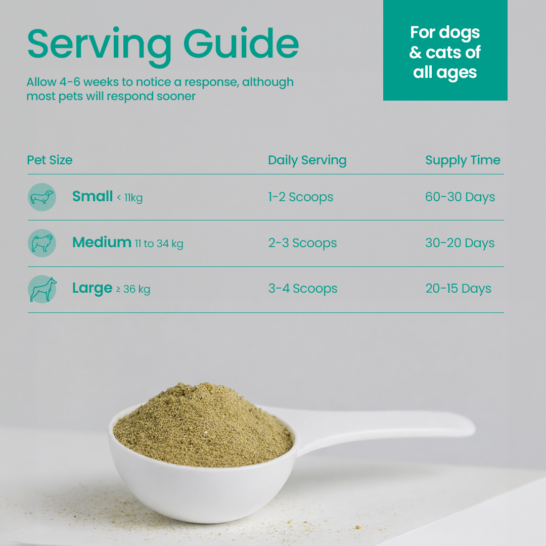 Chewy Paws Dental Powder serving guide - daily scoop dosage for small, medium and large dogs and cats of all ages by weight