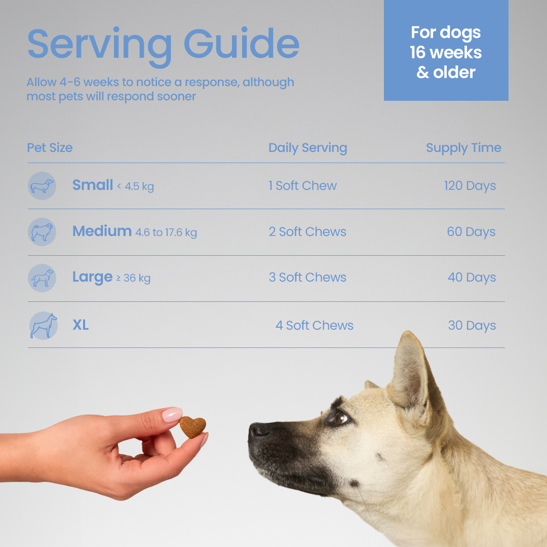 Chewy Paws Wellness and Longevity serving guide - daily multivitamin chew dosage for small, medium, large and XL dogs 16 weeks and older